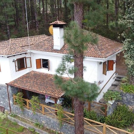 Floral Garden House Villa Icod De Los Vinos Dış mekan fotoğraf
