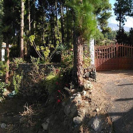 Floral Garden House Villa Icod De Los Vinos Dış mekan fotoğraf