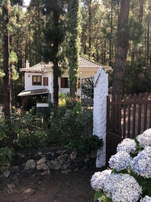Floral Garden House Villa Icod De Los Vinos Dış mekan fotoğraf