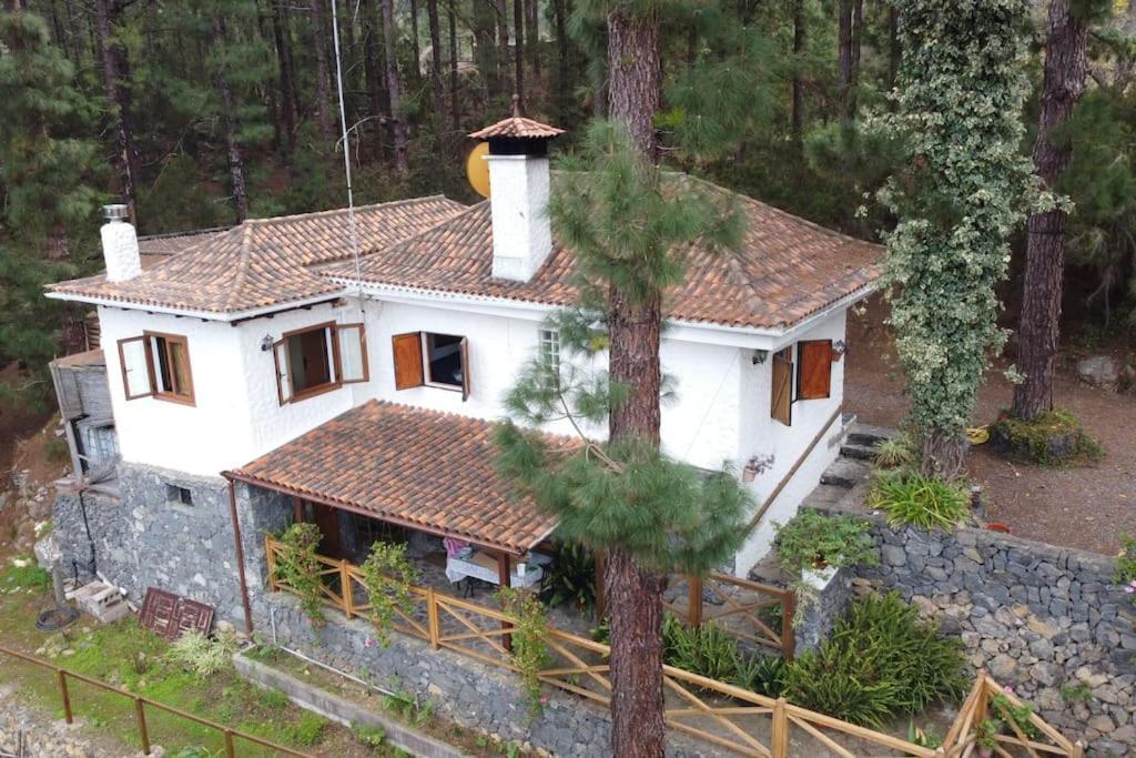 Floral Garden House Villa Icod De Los Vinos Dış mekan fotoğraf