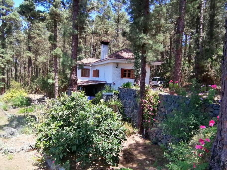 Floral Garden House Villa Icod De Los Vinos Dış mekan fotoğraf