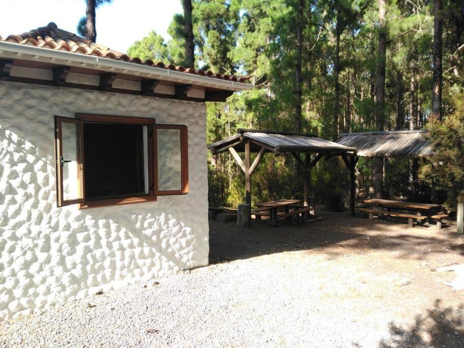 Floral Garden House Villa Icod De Los Vinos Dış mekan fotoğraf