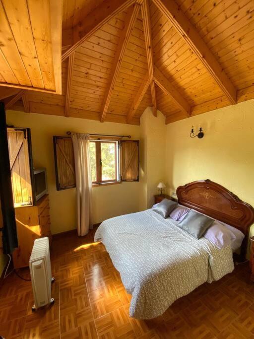 Floral Garden House Villa Icod De Los Vinos Dış mekan fotoğraf
