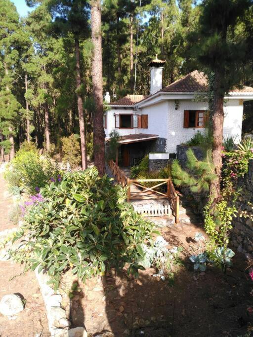 Floral Garden House Villa Icod De Los Vinos Dış mekan fotoğraf