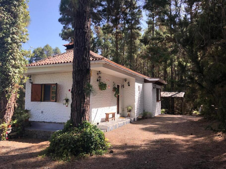 Floral Garden House Villa Icod De Los Vinos Dış mekan fotoğraf