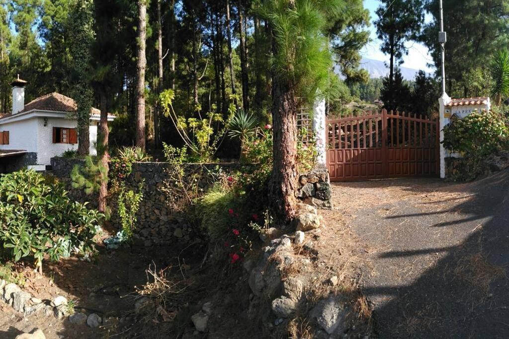 Floral Garden House Villa Icod De Los Vinos Dış mekan fotoğraf