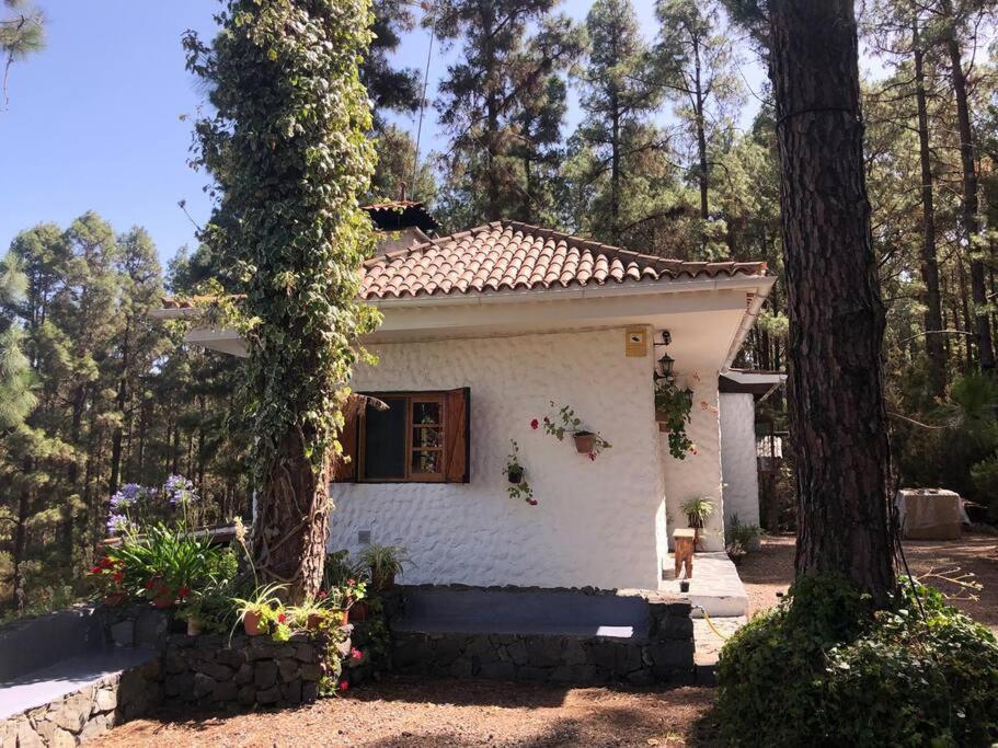 Floral Garden House Villa Icod De Los Vinos Dış mekan fotoğraf