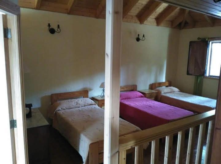 Floral Garden House Villa Icod De Los Vinos Dış mekan fotoğraf